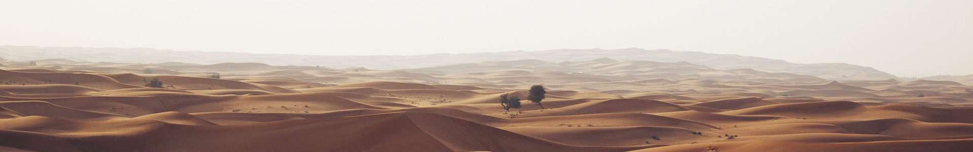 ݹʳƷƼ޹˾